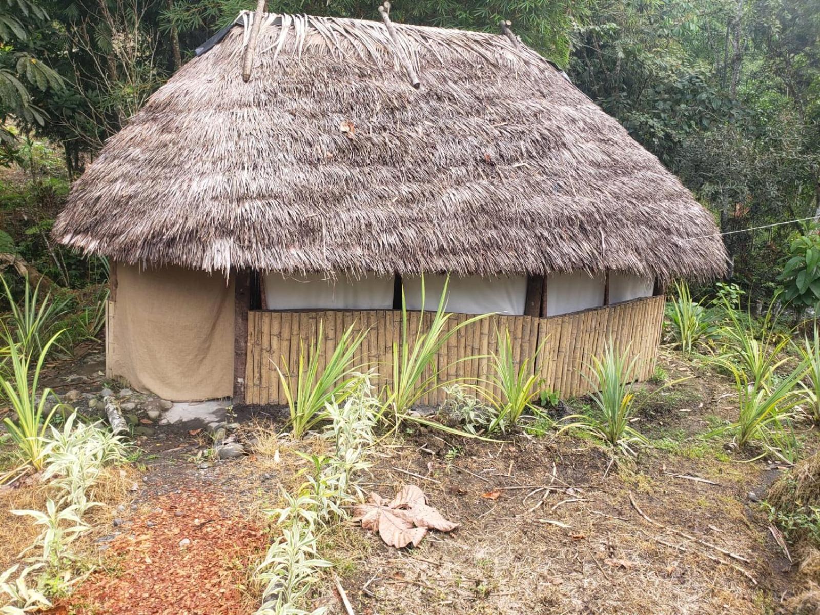 Hosteria Cacique Wasi Hotel Puyo Eksteriør billede